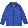 Columbia Kids Autumn Park™ Down Jacket (Little Kids/Big Kids) | Coats & Outerwear