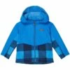 Columbia Kids Steens Mt™ Overlay Hoodie (Infant) | Coats & Outerwear